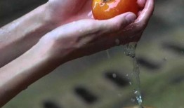 萤火虫娱乐吃瓜,揭秘娱乐圈吃瓜背后的真相与内幕