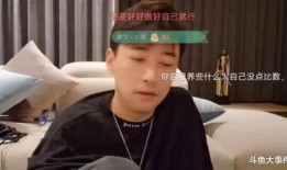 刘小七爆料钱小佳视频,钱小佳视频背后的惊人真相