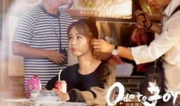 在线观看欢乐颂2,都市女性的情感与成长之旅