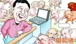 养猪导演爆料视频播放网站,热门视频播放网站幕后真相大曝光