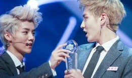 娱乐圈爆料吴亦凡鹿晗,吴亦凡鹿晗事件引发热议