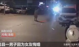 洛阳嵩县爆料事件视频,真相与争议交织