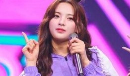 杨姐热点爆料视频,揭秘热点事件背后真相