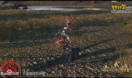 天涯最新爆料坠机视频网,最新坠机视频曝光，事故真相令人震惊