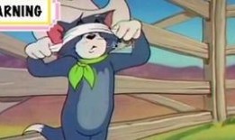 火影汤姆爆料视频大全,揭秘视频大全背后的精彩瞬间