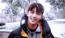 吴磊感情爆料视频播放大全,视频播放大全回顾