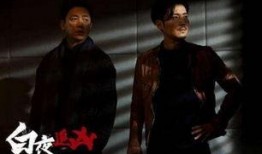 白夜追踪在线观看,揭秘黑暗中的正义之战