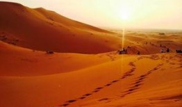 最新沙漠爆料消息,揭秘神秘遗迹与未知的自然奇观