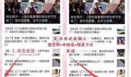 爆料新闻共同睇,揭秘事件背后真相，共同睇透社会现象