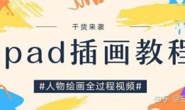 教科书插图爆料视频