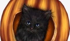 吃瓜小猫视频下载安装免费,轻松获取免费娱乐新体验