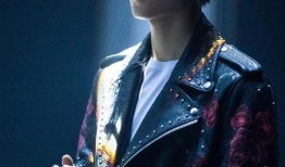 辉叔爆料王俊凯视频全集,王俊凯视频全集幕后真相大曝光