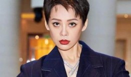 宁静最新爆料视频,娱乐圈幕后真相大曝光！