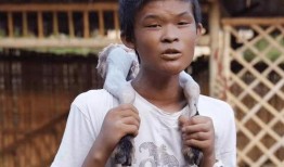 胖哥网红爆料是真的吗视频,胖哥网红爆料视频真实性揭秘