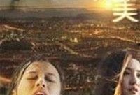 完美 在线观看,在线观看之旅