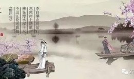 汪伦爆料自己的视频,揭秘明星私生活背后的真实故事