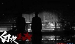 白夜追踪在线观看,揭秘黑暗中的正义之战