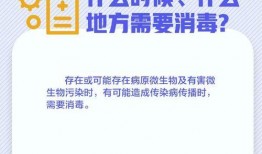 闪电新闻新闻爆料,揭秘重大事件背后真相