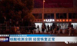 八公山新闻爆料视频最新,揭秘最新爆料视频背后的惊人真相