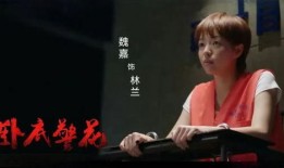 天涯爆料李天昊视频,李天昊视频事件引发热议