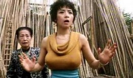 叶子媚三级在线观看,激情燃烧的岁月，重温经典瞬间