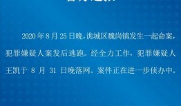 大学最新爆料案件大全视频,视频曝光惊心动魄校园事件