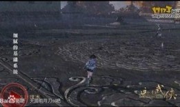 天涯最新爆料坠机视频网,最新坠机视频曝光，事故真相令人震惊