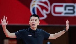 记者爆料杨鸣视频大全集