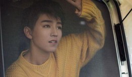 辉叔爆料王俊凯视频全集,王俊凯视频全集幕后真相大曝光