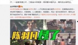 翔霖爆料真的假的视频,真相与谣言的较量