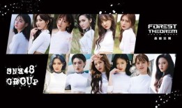 48奇迹在线观看,揭秘偶像女团的崛起之路