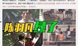 天涯爆料周青扬视频全集,周青扬视频全集揭秘，真相大白！