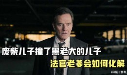 法官老爹在线观看,正义之剑，守护公平的在线传奇