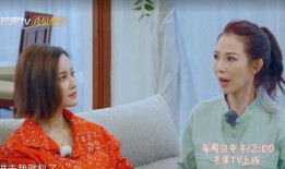港姐系列爆料视频,揭秘幕后真相与精彩瞬间