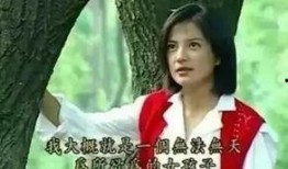 王执臣前女友爆料视频,揭秘背后惊人真相