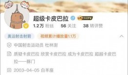 爆料四姐视频下载安装免费,轻松获取热门内容