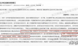 武汉施工方最新爆料,揭秘工程背后惊人内幕