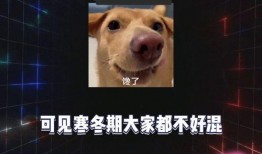 娱乐圈吃瓜爆八卦,揭秘明星幕后秘闻与情感纠葛