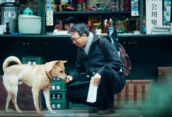 郭小刚爆料忠犬八公视频