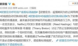 欧盟官员爆料视频大全集,揭秘政坛内幕与权力斗争
