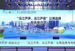 沅江新闻爆料事件视频,视频揭露惊人真相