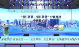 沅江新闻爆料事件视频,视频揭露惊人真相