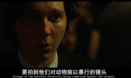 杂交的电影在线观看,经典电影杂交盛宴，在线观影新体验