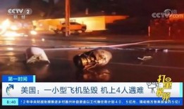 爆料美国坠机视频大全下载,揭秘空中事故瞬间