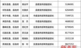 衡阳市新闻爆料电话,揭秘市民身边事，倾听民意心声