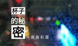 常州饭店爆料视频最新版,揭露惊人内幕，真相令人震惊！