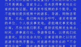 网上爆料短视频犯法吗,法律边界与道德考量