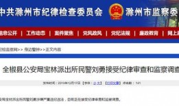 安徽公安爆料最新消息,重大案件侦破进展及嫌疑人落网情况揭晓