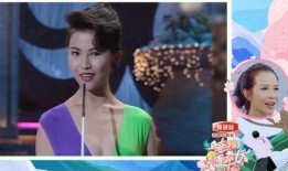 港姐系列爆料视频,揭秘幕后真相与精彩瞬间