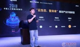 大华爆料视频大全集最新,揭秘娱乐圈幕后真相